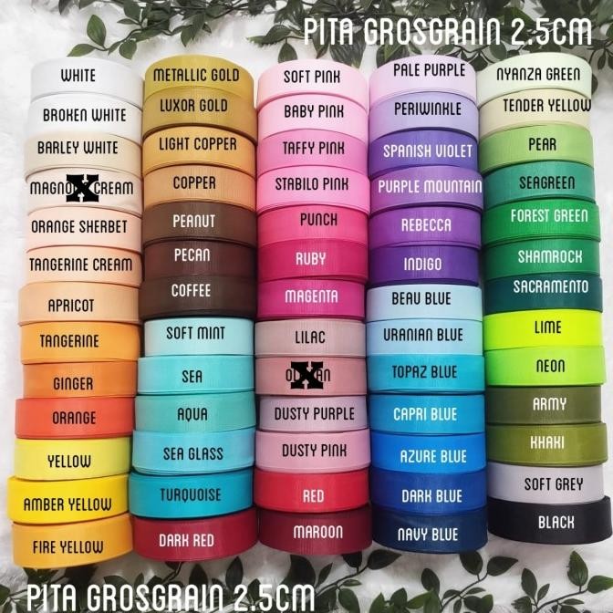 

Pita grosgrain 2.5cm (1") - 2018
