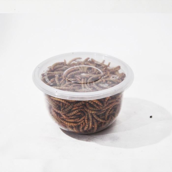 Ulat Hongkong Kering Dried Mealworm 50Gr