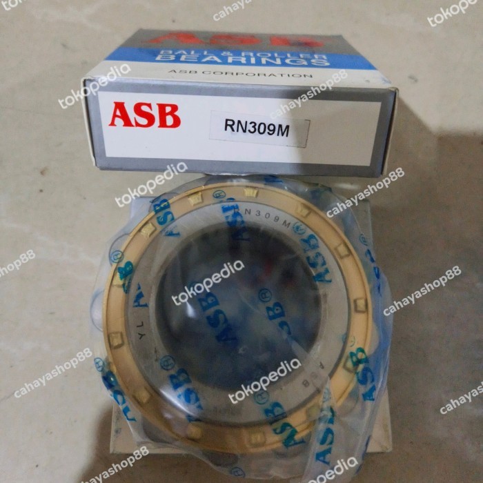 Rn 309 M / Rn309 M / Rn309M Bearing Merk Asb