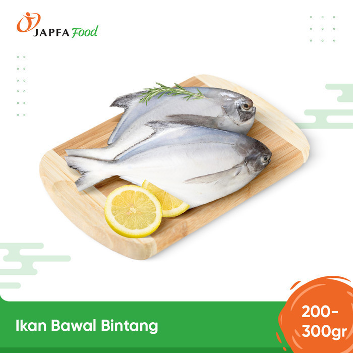 

Ikan Bawal Bintang / Bawal Putih 200gr - 300gr