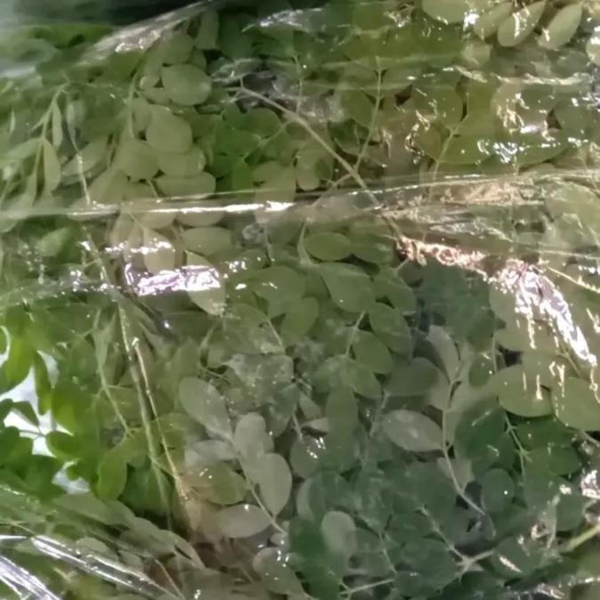 

Daun Kelor Segar Fresh 1 pack