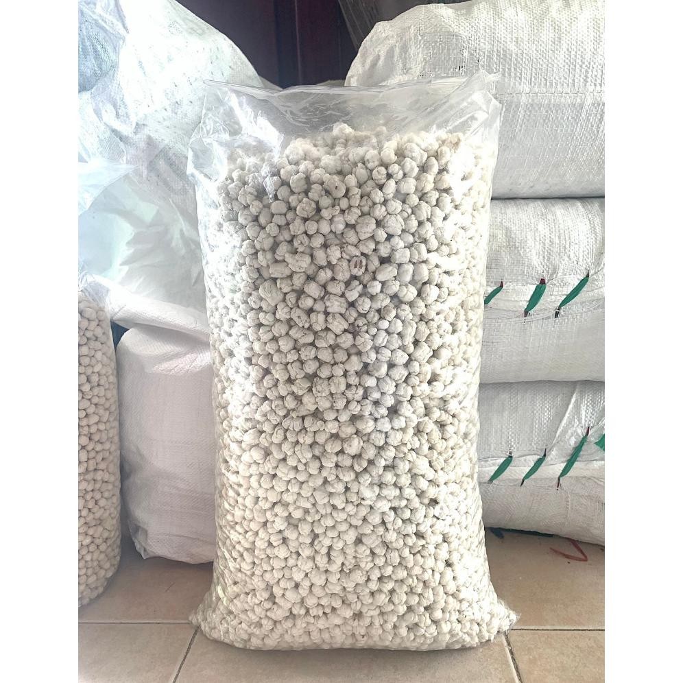 

Cikur Sari Rasa Pilus Murah 500gr