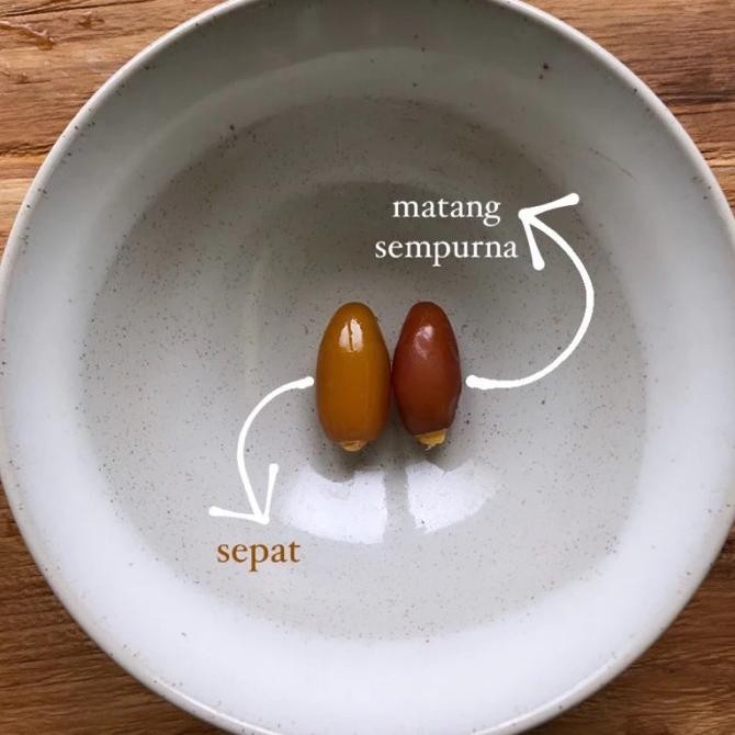 

Ruthob Deglet dan Zaghloul Dates El Mardhiyyah Kurma Matang Korma Basah Segar Frozen LS