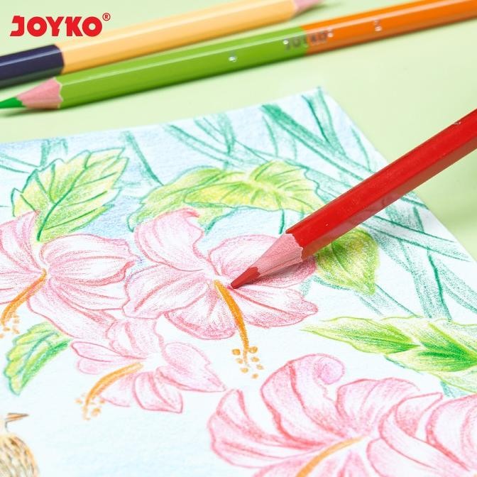 

Joyko Bi-Color Pencils Duo Color 2 Warna Per Pensil