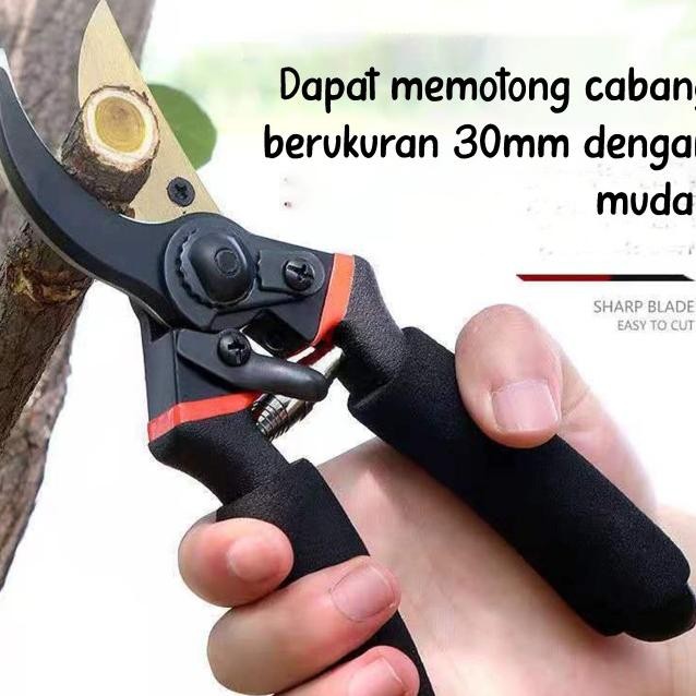 Gunting Taman Dahan Ranting Te Ratchet Pruning Hear Cior Baja