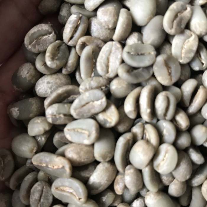 

Promo Terbatas Green Bean Arabika Flores Bajawa Full Wash G1 Aman