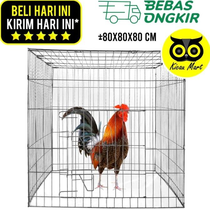 

READY KURUNGAN AYAM GALVANIS KOTAK SANGKAR AYAM JAGO LAGA ADUAN PETARUNG