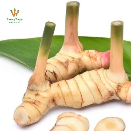 

Lengkuas Laos Segar - 200gr