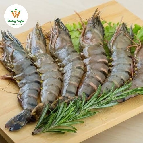 

Udang Windu Udang Sitto Tiger Prawns Basah Segar - 500gram