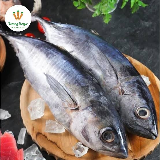 

Ikan Cakalang Size M Segar - 1kg