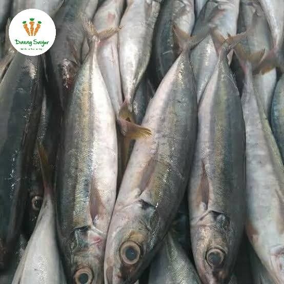 

Ikan Layang Segar - 500gram