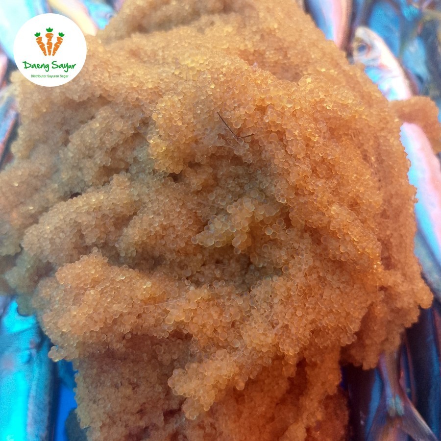 Telur Ikan Terbang Telur Ikan Tuing-Tuing Segar - 100gr