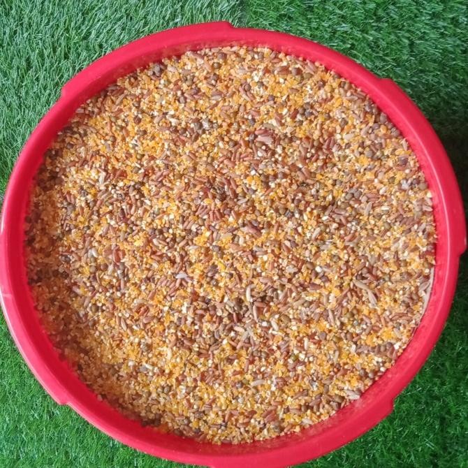 

READY MAKANAN AYAM KATE AGAR CEPAT BERTELUR 5KG (KEMASAN PAIL)