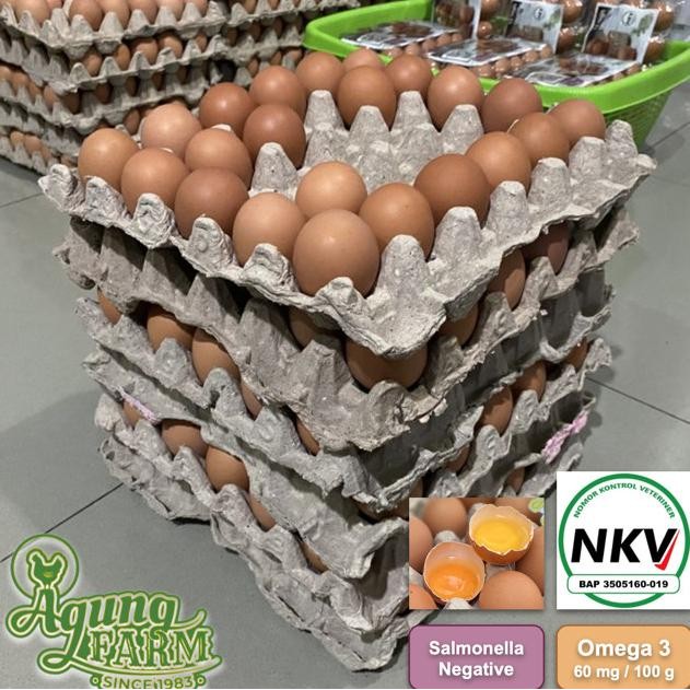 

READY TELUR AYAM NEGRI NEGERI PER 10 KG CURAH SEGAR DARI KANDANG NKV