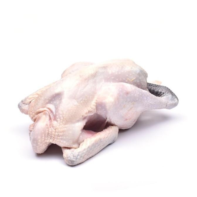 

READY AYAM KAMPUNG FRESH ~1,2KG [GROSIR]