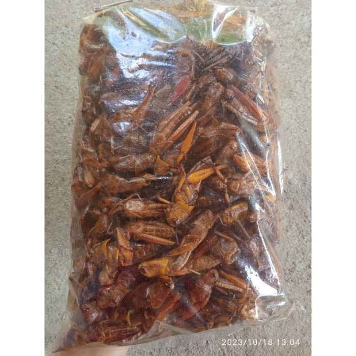 

TERPERCAYA belalang kayu goreng gurih pedas original camilan sehat makanan ringan Snack instant