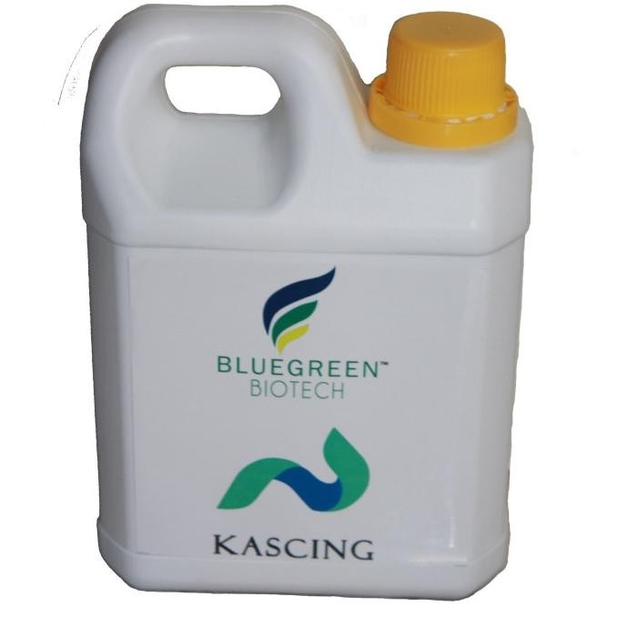 Buruan serbu] Probiotik Sidat Bicolor