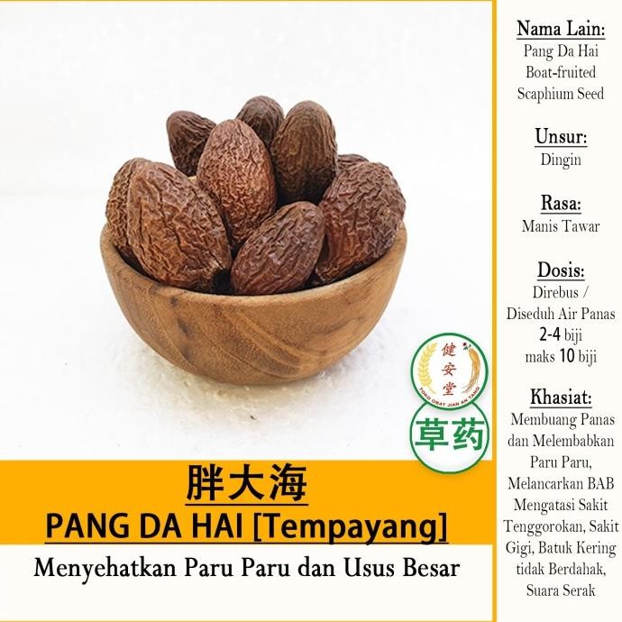 

siap kirim] Buah TEMPAYANG Bong Ta Hai Malva Nut [Pang Da Hai - Da Hai Zi ] per 20 Gram