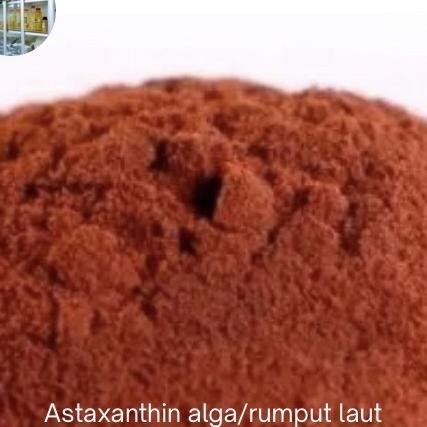 

Ataanthin Aarumput Laut Merah Etra Bubu