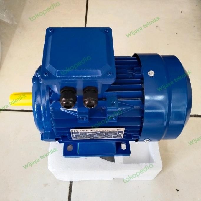 Sale Dinamo Electro Motor 1/2 Hp 3 Phase Induction Motor 0,5 Hp 3 Phase