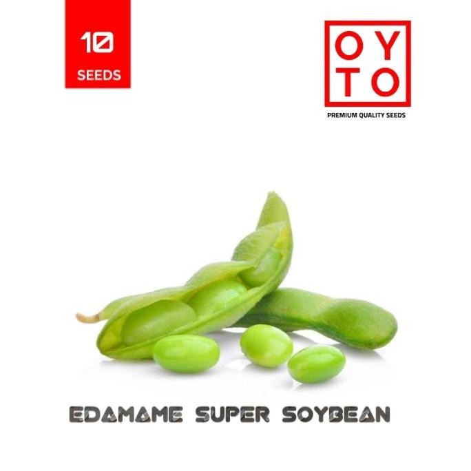 

EDAMAME SUPER SOYBEAN BIBIT TANAMAN F1 PREMIUM