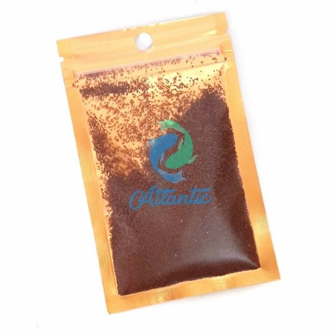 Bibit Caet Seed Aquascape Bibit Tanaman Air Aquascape PREMIUM