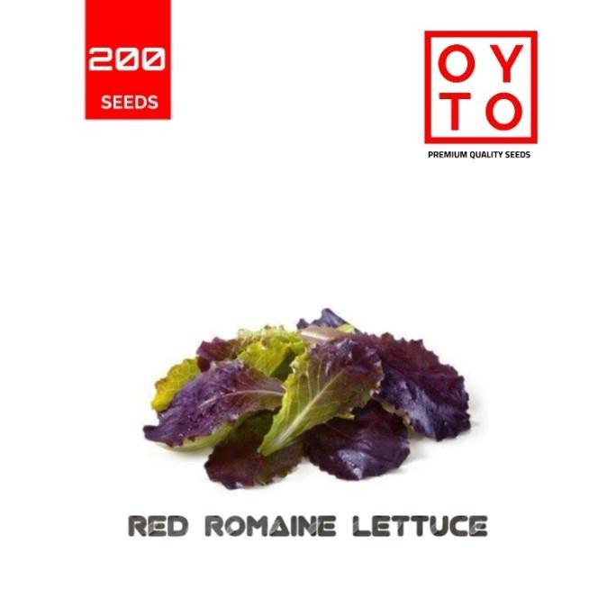 

SELADA RED ROMAINE BIBIT TANAMAN HOPONIK PREMIUM