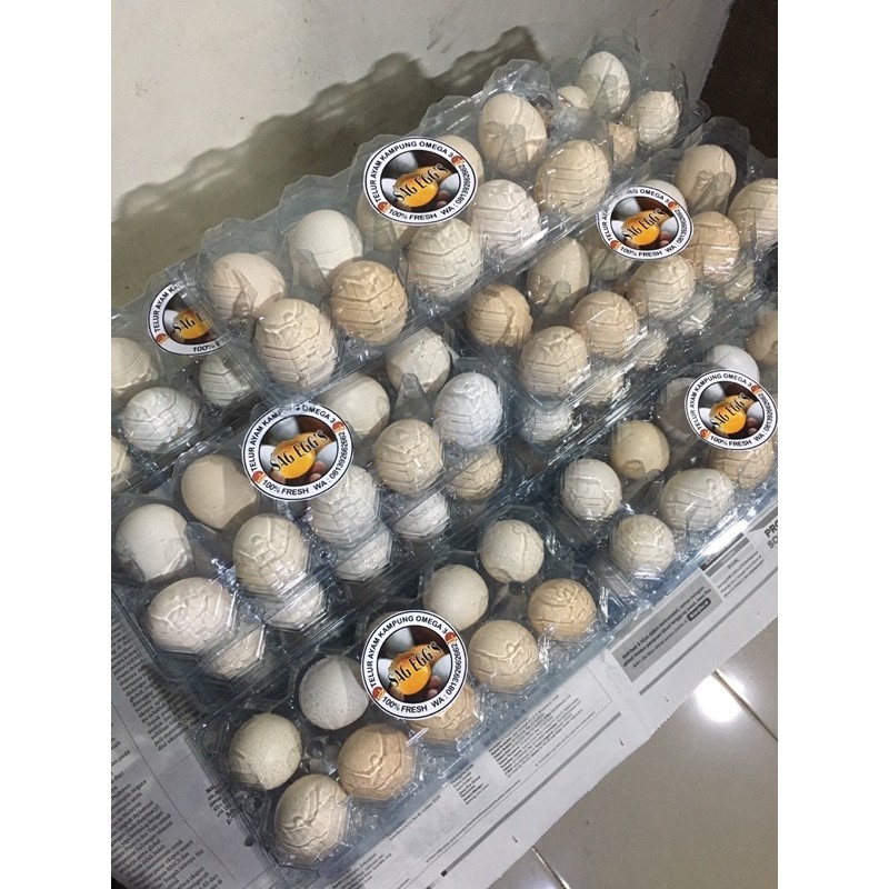 

Telur Ayam Kampung Omega 3 grade A- isi 10