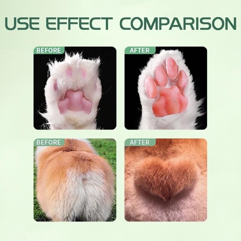 ORIGINAL ROYAL PET PARADISE Alat Cukur Listrik Kaki Anjing Dan Kucing Peliharaan  Alat Cukur Kucing 