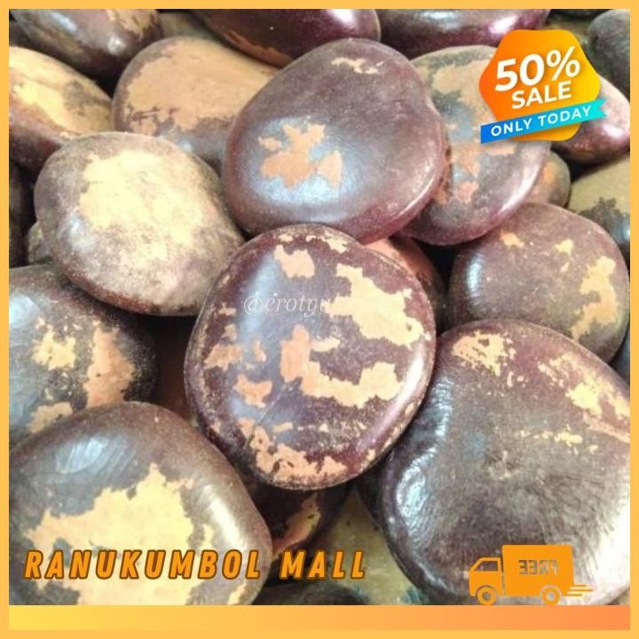 

BIJI BENDO KERING BENDHO BENDO 500 GRAM RANU KUMBOL MALL PRODUK TERBAIK!!