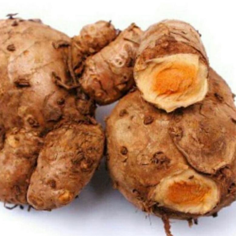 

temulawak segar temu lawak segar Teratas