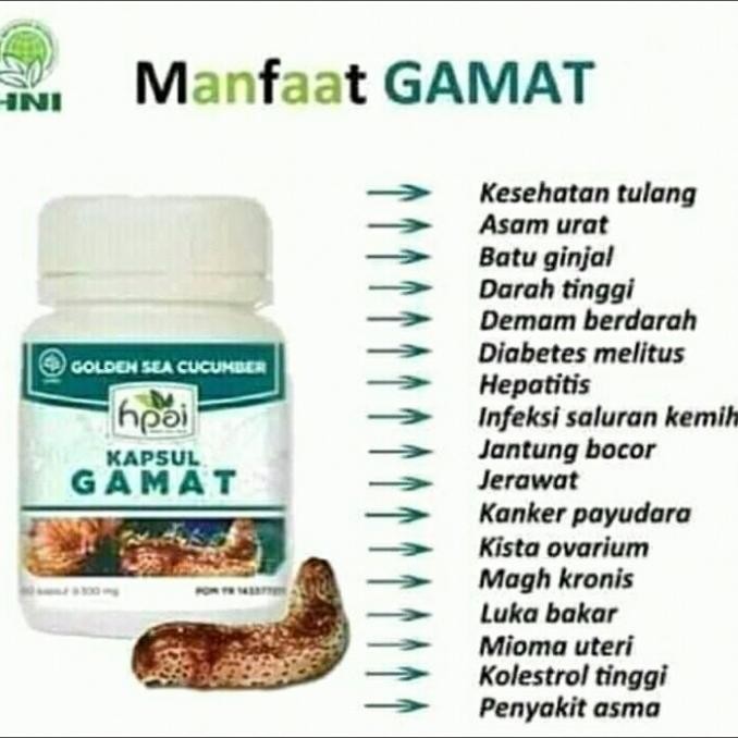 GAMAT KAPSUL HNI HPAI || Meredakan nyeri sendi