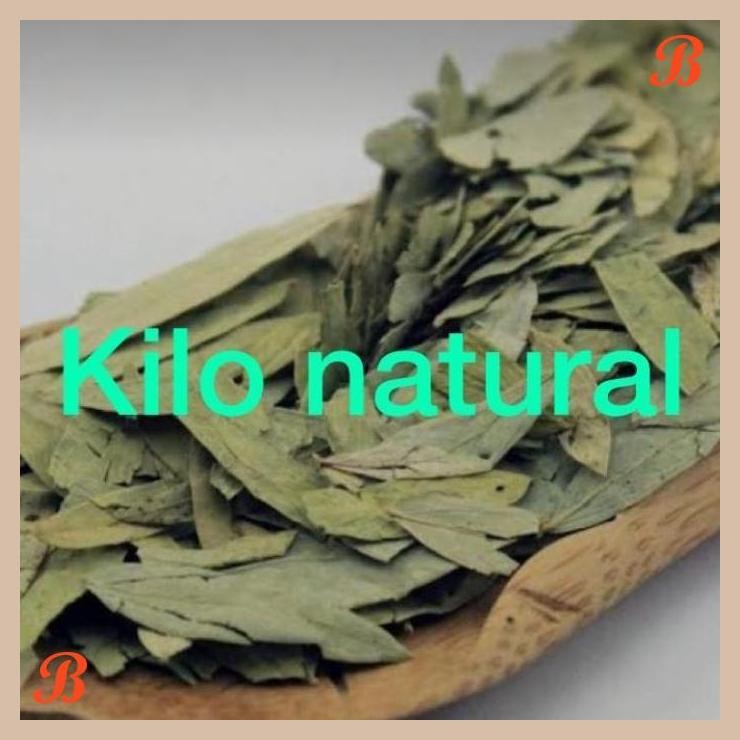 

| RMP | DAUN JATI CINA 1KG