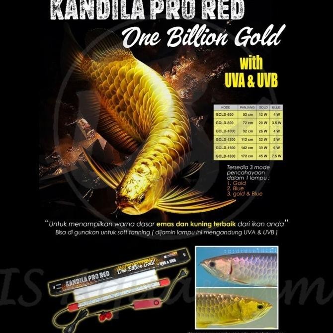 Sale Kandila Pro Red One Billion Gold 1200 112Cm Lampu Celup Ikan Arowana