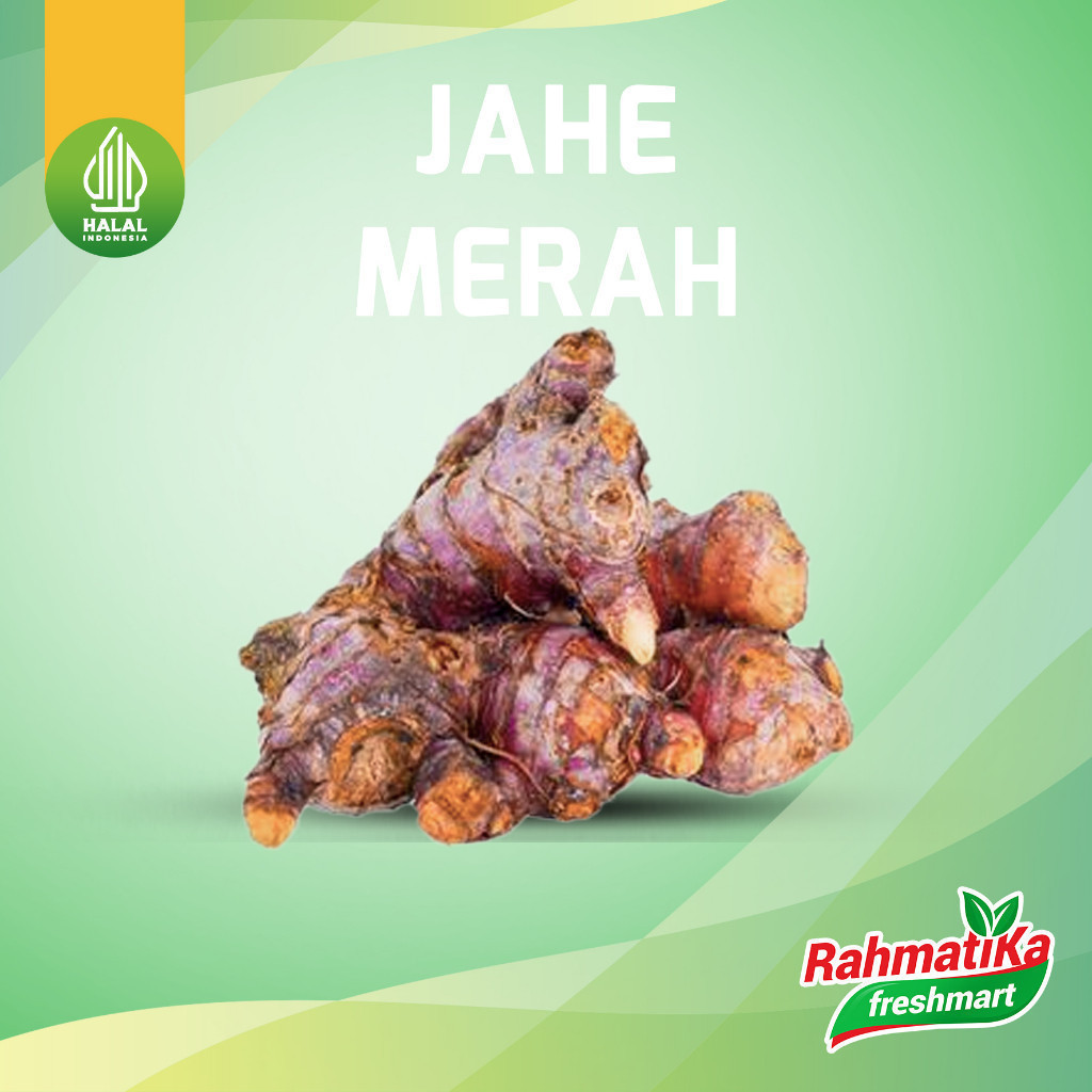 

Jahe Merah Segar / Jahe Merah Fresh 500 gram