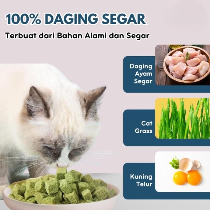 

Snack Rumput Kucing Cat Grass Dadu Cemilan Beku Cat Grass Premium Grass Wheatgrass Dengan Daging Segar JS01