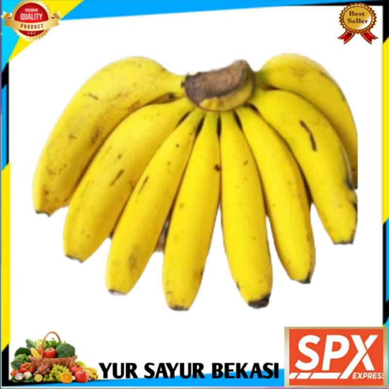 

Pisang Ambon Sedang Persisir