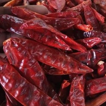 

cabe merah kering 500 gr / cabai pedas kering / chili chilli murah