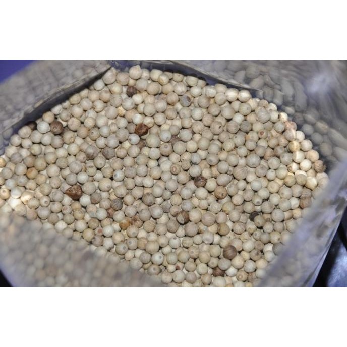 

LADA PUTIH BANGKA @ 1 KG murah