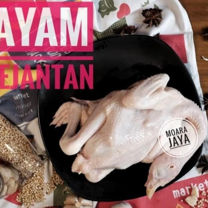 

(Good) AYAM PEJANTAN (FREE PARTING 4)