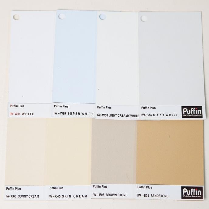 cat tembok exterior Puffin Plus 25kg DS10