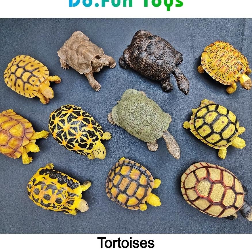 Animal Furine Tortoie Olei Mainan Niatur Anea Uraura