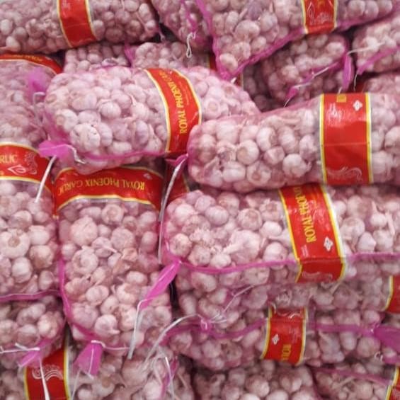 

bawang putih banci karungan 20kg murah