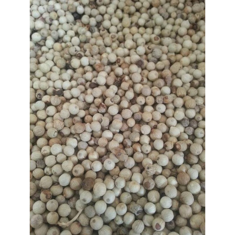 

LADA PUTIH BANGKA. KUALITAS BAGUS, BEBAS DARI BAHAN KIMIA/PEMUTIH murah