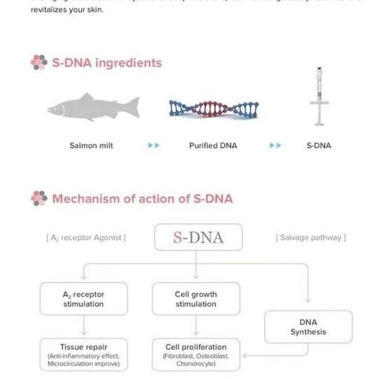 var S DNA salmon pdrn | Anti aging | ori termurah