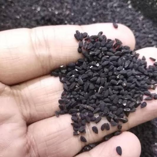 

Biji Jinten Hitam / Black Cumin (1 kilogram) by Granology murah