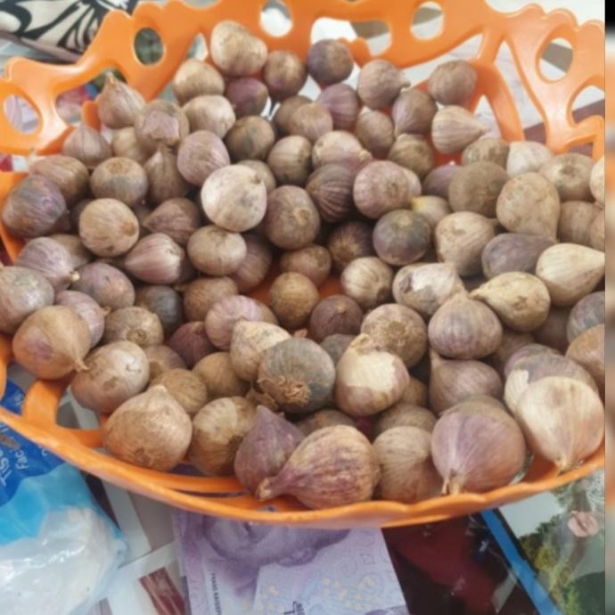 

Bawang Putih Tunggal / Bawang Lanang 1000 gram [terbaik]