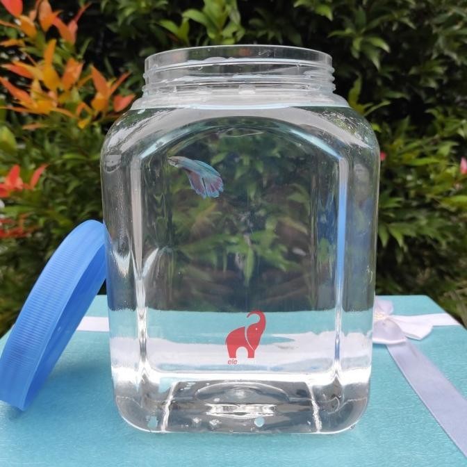 (Good) Toples Plastik Kotak Ikan Cupang 3 Liter Tebal