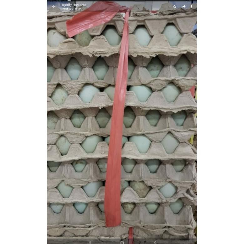 

Hj-77 Telur Bebek Fresh Per Butir