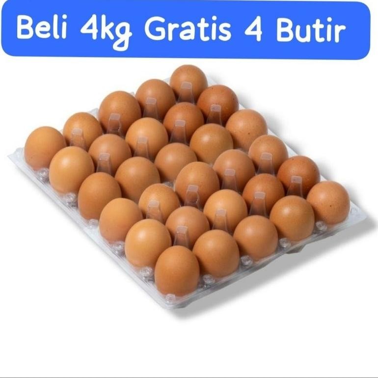 

Qig-1722 Paket Telur Beli 4Kg Gratis 4 Butir (Instant & Sameday)